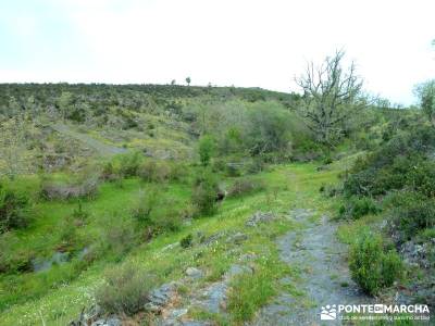 Cascadas del Aljibe; grazalema; viajar solo; pueblos de españa;tiempo sierra de madrid